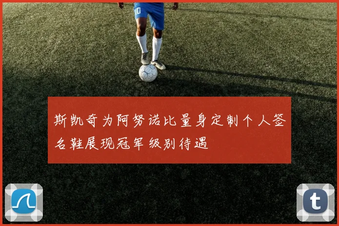 斯凯奇为阿努诺比量身定制个人签名鞋展现冠军级别待遇